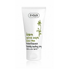 Ziaja Cucumber Mint drėkinamasis dieninis veido kremas su SPF6