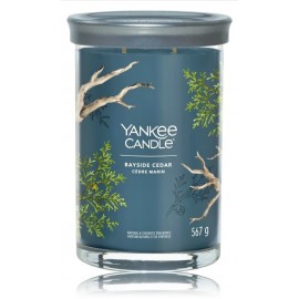 Yankee Candle Signature Tumbler Bayside Cedar ароматическая свеча