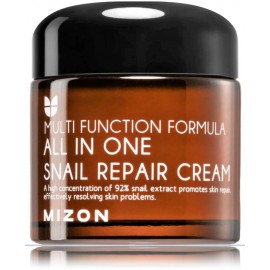 Mizon All In One Snail Repair Cream drėkinamasis daugiafunkcinis veido kremas