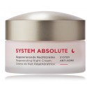 Annemarie Börlind System Absolute Regenerating Night Cream восстанавливающий ночной крем для лица для зрелой/сухой кожи