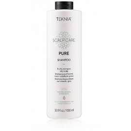 Lakme Teknia Scalp Care Pure Shampoo šampūnas riebiems plaukams